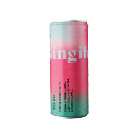 BEBIDA MISTA GINGIBRE 355ML