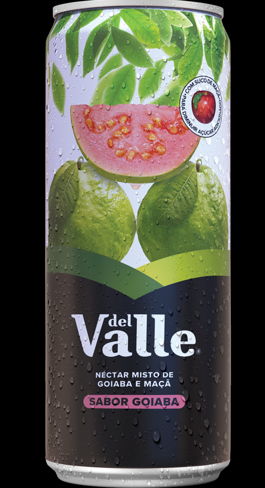 SUCO DEL VALLE MAIS GOIABA 290ML