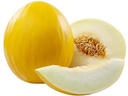Melão Amarelo - 1 unidade