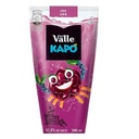 Suco Kapo de Uva Del Valle 200 ml