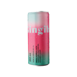 BEBIDA MISTA GINGIBRE 355ML